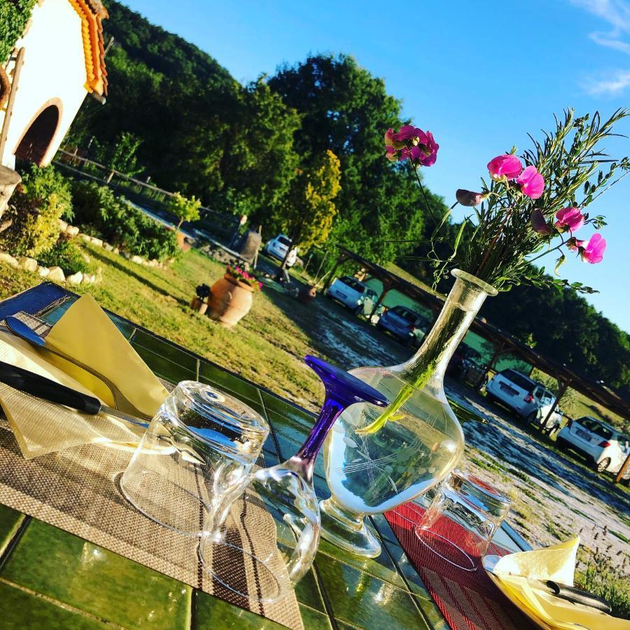 Podere Il Sasso Bed & Breakfast *