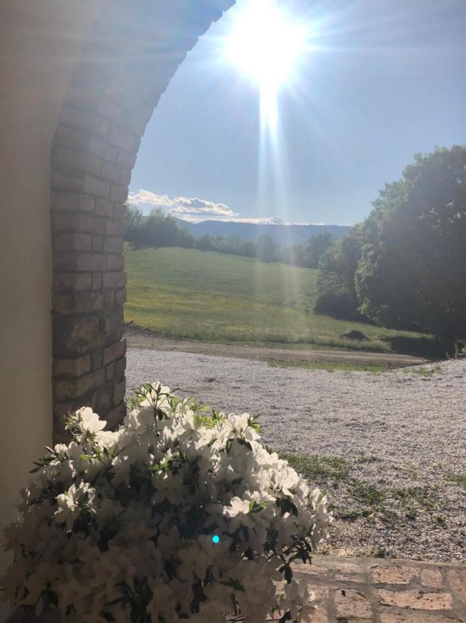 Podere Il Sasso Frühstückspension *