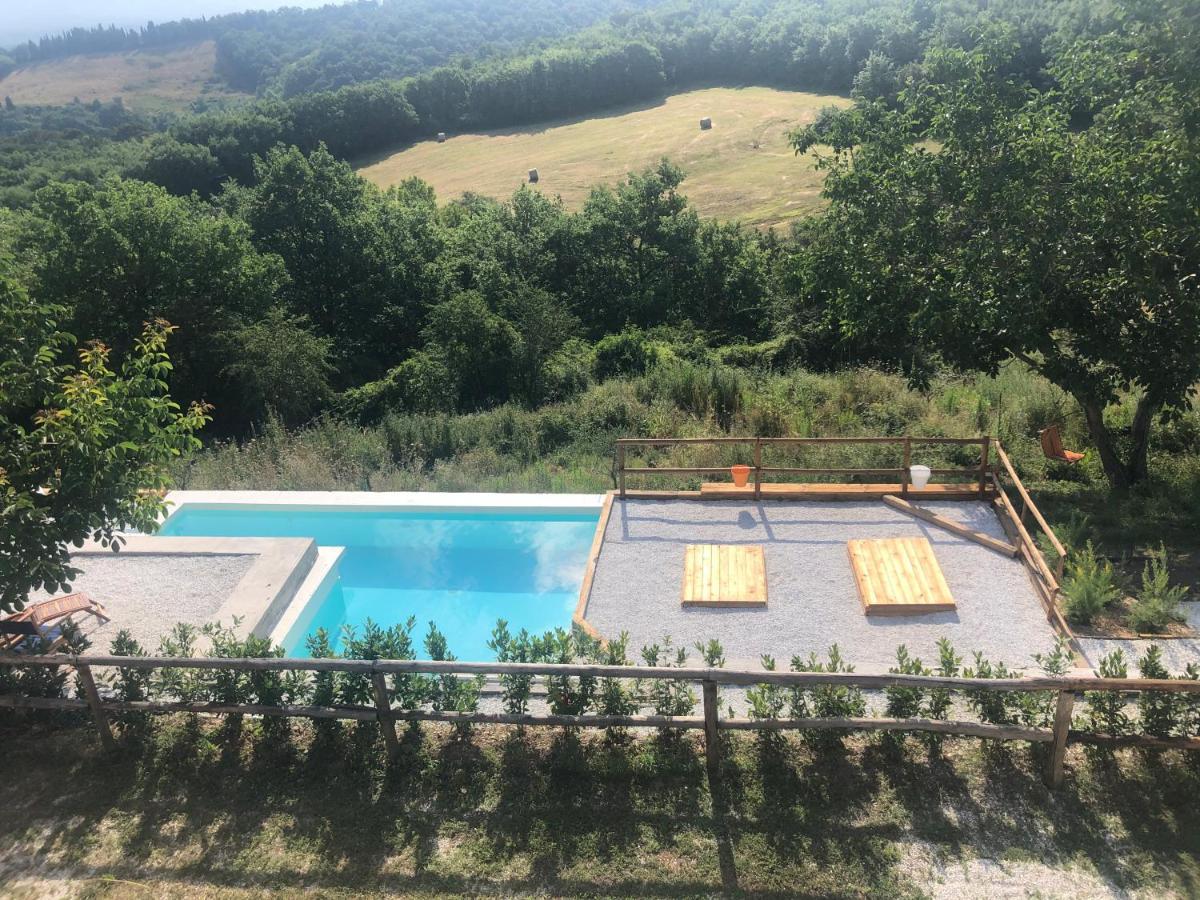 Podere Il Sasso Bed & Breakfast